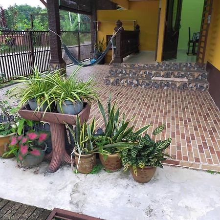 Rumah Tumpangan Di Kuala Terengganu, Terengganu Homestay D Eksteriør bilde
