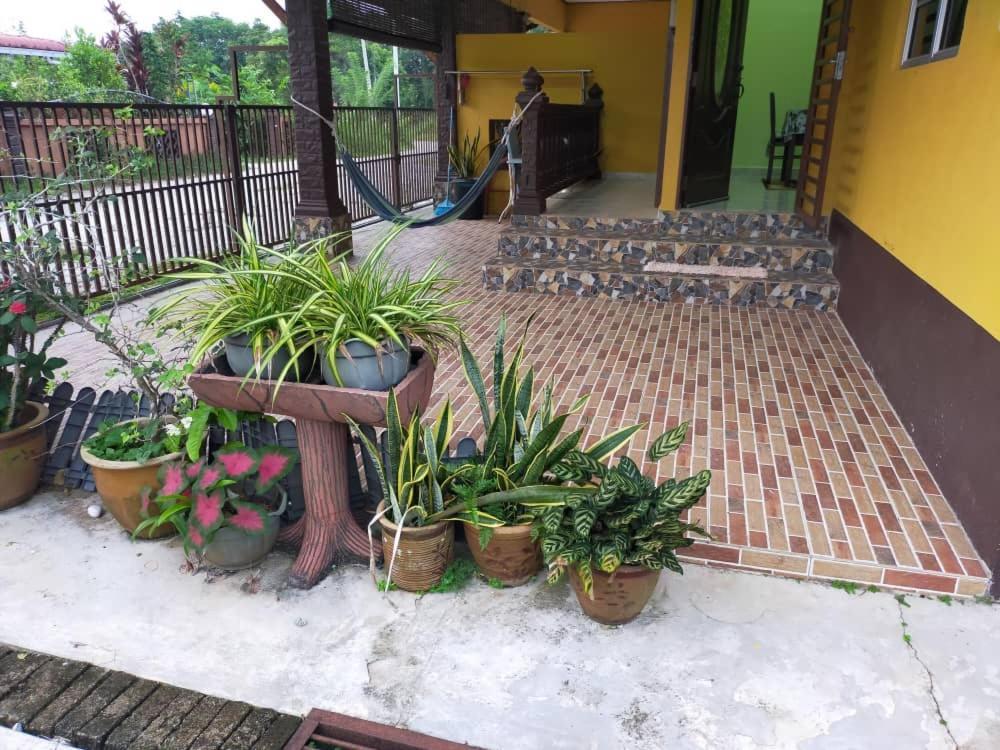 Rumah Tumpangan Di Kuala Terengganu, Terengganu Homestay D Eksteriør bilde